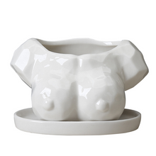 Load image into Gallery viewer, Cartoon Succulent Flower Pot Ceramic White Creative Abstract Body Art Floral
