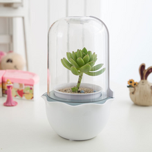 Load image into Gallery viewer, Cute Desktop Simple Creative Smart Plant Flower Pot
