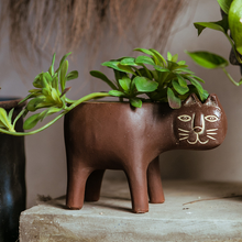 Load image into Gallery viewer, Cartoon Cat Shaped Gardening Green Planting Pots Home Crafts
