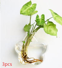Load image into Gallery viewer, Fashion Wall Hanging Glass Flower Vase Terrarium Wall Fish Tank Aquarium Container Flower Planter Pots Home Garden Decoration
