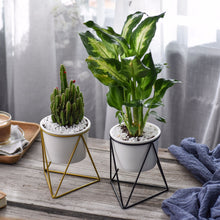 Load image into Gallery viewer, Green Plant Ceramic Iron Frame Flower Pot
