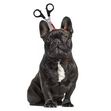 Load image into Gallery viewer, Pet Dog Cats Headdresses Halloween Pet Cat Headgear
