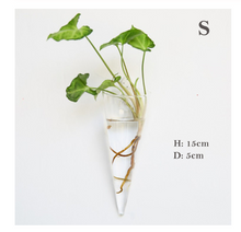Load image into Gallery viewer, Fashion Wall Hanging Glass Flower Vase Terrarium Wall Fish Tank Aquarium Container Flower Planter Pots Home Garden Decoration
