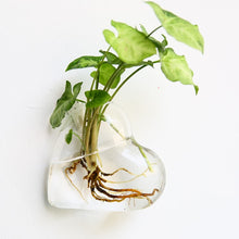 Load image into Gallery viewer, Fashion Wall Hanging Glass Flower Vase Terrarium Wall Fish Tank Aquarium Container Flower Planter Pots Home Garden Decoration
