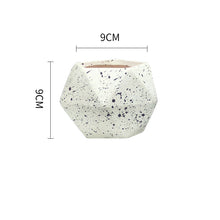 Load image into Gallery viewer, Nordic Succulent Flower Pot Ceramic Tray Creative Personality
