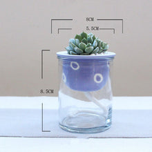 Load image into Gallery viewer, Cartoon glass ceramic flower pot
