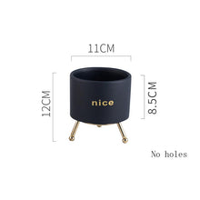 Load image into Gallery viewer, Creative Personality Iron Ceramic Flowerpot
