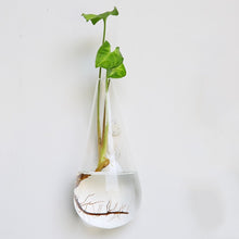 Load image into Gallery viewer, Fashion Wall Hanging Glass Flower Vase Terrarium Wall Fish Tank Aquarium Container Flower Planter Pots Home Garden Decoration
