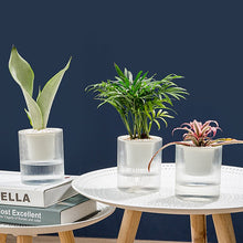 Load image into Gallery viewer, Self-absorbent succulent flower pot
