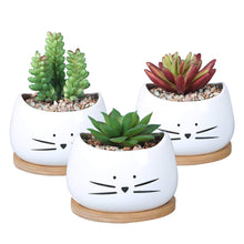 Load image into Gallery viewer, 4 inch succulent flower pot
