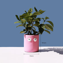 Load image into Gallery viewer, Cement Flowerpot Big Eyes Creative Tabletop Succulent Flowerer
