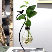 Load image into Gallery viewer, Hydroponic Plant Vessel Indoor Green Plants Glass Planter Pot with Steel Stand
