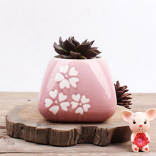 Load image into Gallery viewer, Creative Cute Succulent Flower Pot Handmade
