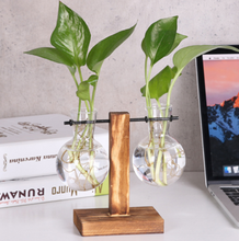 Load image into Gallery viewer, Glass Wood Vase Table Desktop Hydroponics Plant Stationery Bonsai Flower Pot Decoration Hanging Pots with Wooden Tray Pen Holder
