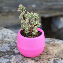 Load image into Gallery viewer, Round plastic plant pot
