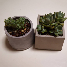Load image into Gallery viewer, Silica gel round DIY model of cement flowerpot mold
