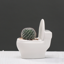 Load image into Gallery viewer, Creative Cartoon Succulent Flower Pot
