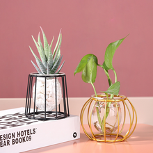 Load image into Gallery viewer, Simple Ins Hydroponic Small Vase Creative Glass Transparent Flower Water Plant Decoration Ornaments
