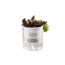 Load image into Gallery viewer, Succulent Flower Ceramic Pot Hydroponic Nordic Style Green Radish Self-Absorbent Glass Flower Pot Decoration New
