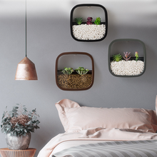 Load image into Gallery viewer, Flower Pot Wall-mounted Radish Copper Money Grass Wall-mounted
