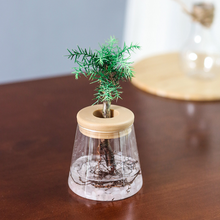 Load image into Gallery viewer, Meixuan Lazy Transparent Flowerpot Hydroponic Automatic Water Absorption Flowerpot
