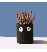 Load image into Gallery viewer, Cement Flowerpot Big Eyes Creative Tabletop Succulent Flowerer
