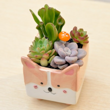 Load image into Gallery viewer, Fun Play Gardening Ceramic Flower Pot
