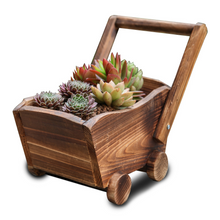 Load image into Gallery viewer, Succulent Flower Pot
