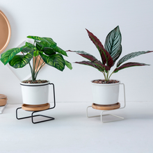 Load image into Gallery viewer, Geometric ceramic green plant pot
