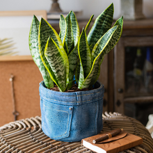 Load image into Gallery viewer, Jeans pocket flower pot small flower pot
