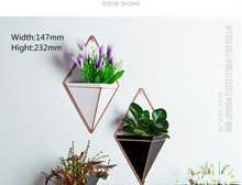 Load image into Gallery viewer, Creative home three-dimensional wall decoration flower pot
