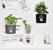 Load image into Gallery viewer, Succulent simulation plant small potted cactus ball
