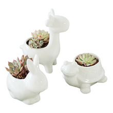 Load image into Gallery viewer, Succulent ceramic flowerpot
