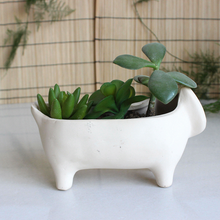 Load image into Gallery viewer, Stoneware Cat Succulent Flower Pot Ceramic
