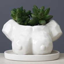 Load image into Gallery viewer, Cartoon Succulent Flower Pot Ceramic White Creative Abstract Body Art Floral
