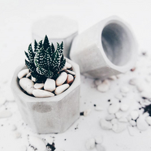 Load image into Gallery viewer, Octagonal silicone concrete flower pot mould

