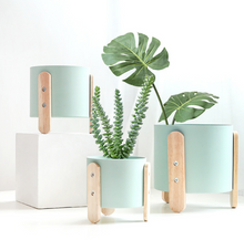 Load image into Gallery viewer, Cute flower pot
