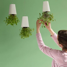 Load image into Gallery viewer, Flower Shop Upside Down Sky Gardening Landscape Flowerpot
