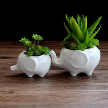 Load image into Gallery viewer, Creative ceramic flower pot
