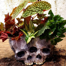 Load image into Gallery viewer, Halloween Skull Resin Flower Pot Outdoor Study
