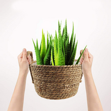 Load image into Gallery viewer, Desktop Decorative Plant Straw Flower Pot
