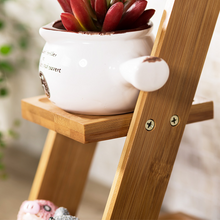Load image into Gallery viewer, Solid Wood Succulent Living Room Flower Stand
