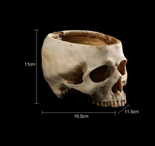 Load image into Gallery viewer, Resin Skull Flower Pot Ashtray Resin Skull Ornament Flower Pot
