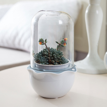 Load image into Gallery viewer, Cute Desktop Simple Creative Smart Plant Flower Pot
