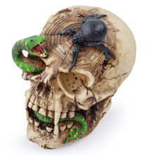 Load image into Gallery viewer, Resin Skull Human Animal Skull Snake Ornament Halloween
