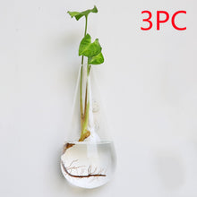 Load image into Gallery viewer, Fashion Wall Hanging Glass Flower Vase Terrarium Wall Fish Tank Aquarium Container Flower Planter Pots Home Garden Decoration

