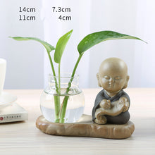 Load image into Gallery viewer, Glass Transparent Water Cultivation Green Dish Ware Flower Pot
