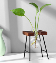 Load image into Gallery viewer, Glass Wood Vase Table Desktop Hydroponics Plant Stationery Bonsai Flower Pot Decoration Hanging Pots with Wooden Tray Pen Holder
