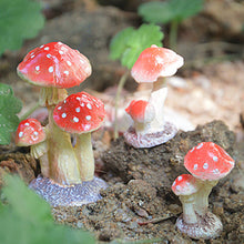 Load image into Gallery viewer, Mini mushroom bonsai decorations
