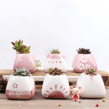 Load image into Gallery viewer, Creative Cute Succulent Flower Pot Handmade
